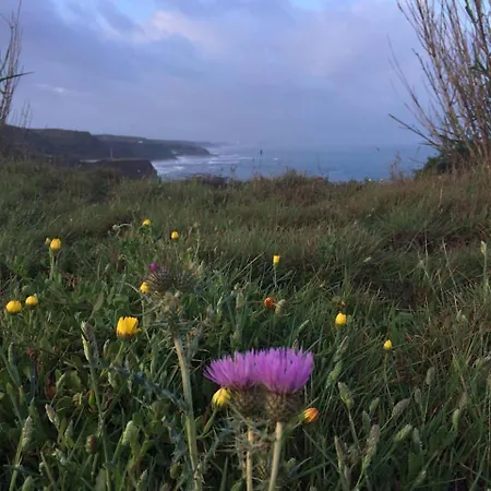 Silver Coast Vacation - Your Unique Gasthuis 4*