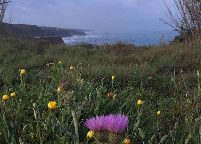 Silver Coast Vacation - Your Unique Pensión 4*